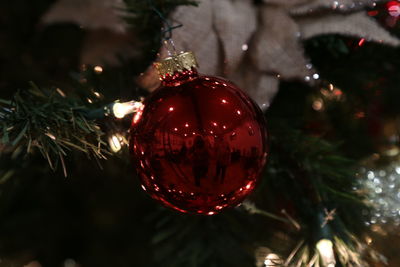 Close-up of christmas decorations on tree