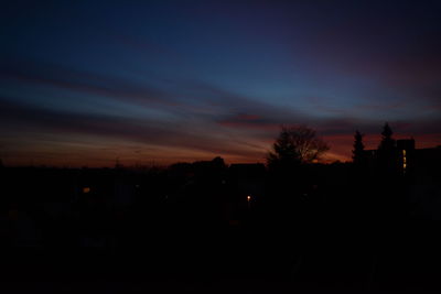 Silhouette of trees at sunset