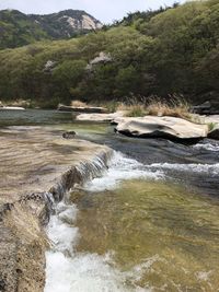 Stream amidst trees on landscape against sky