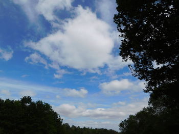 Low angle view of silhouette trees against sky