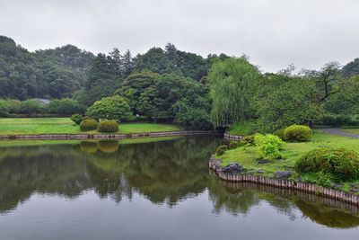 Scenic view of lake by trees against sky