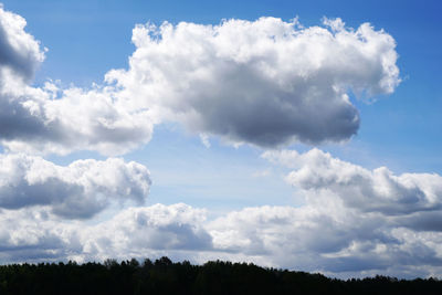 Low angle view of trees against sky