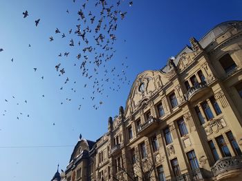 Low angle view of birds flying against sky