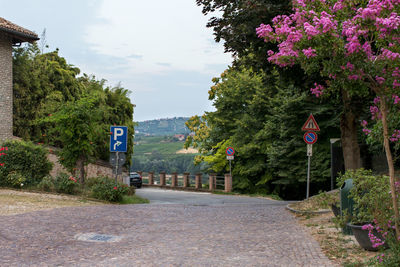 Road leading to mountain