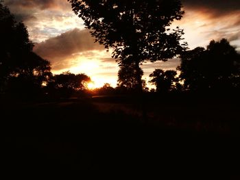 Silhouette trees on landscape against sky at sunset