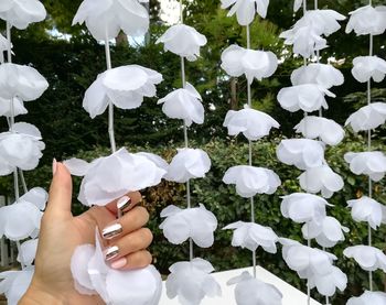 Cropped hand of woman holding white flowers decoration