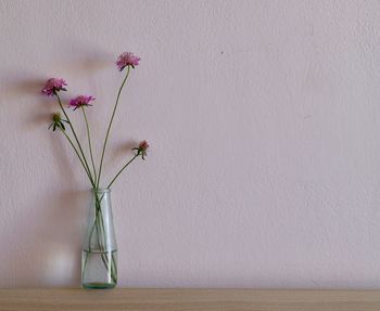 Close-up of pink flower vase on table against wall pink wildflowers bouquet home decor background 