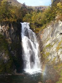 Scenic view of waterfall in forest