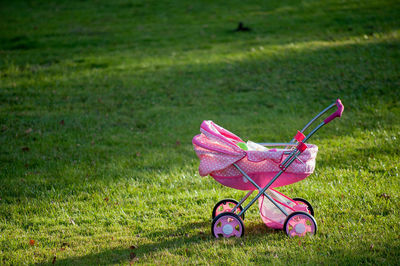 Pink toy on grass in field
