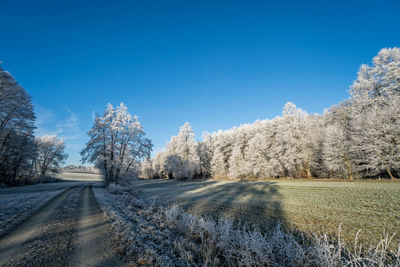 Road amidst trees against clear blue sky