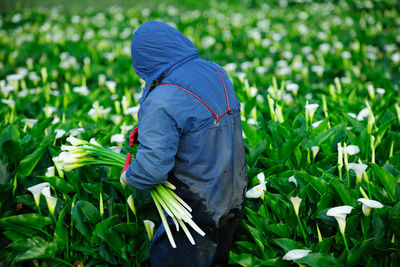 Man working on field