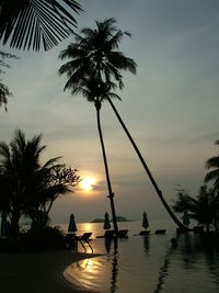 Silhouette coconut palm trees by swimming pool against sky