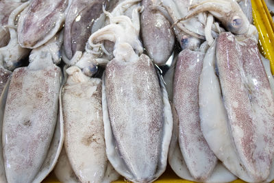 Close-up of fish for sale in market