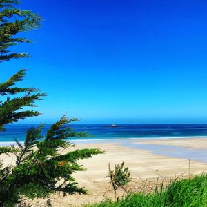 Scenic view of sea against clear blue sky