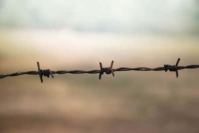 Close-up of barbed wire