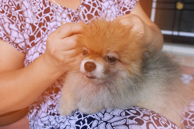 Close-up of woman holding dog