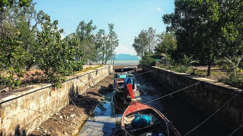 Boats moored amidst trees against sky