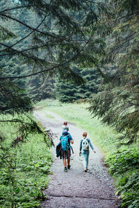 Family walking through the forest. man with backpack, in company with young woman