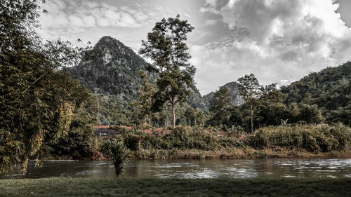 Scenic view of lake in forest against sky