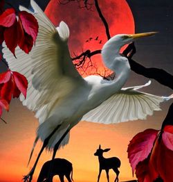 Close-up of birds flying