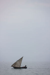 Sailboat sailing on sea against clear sky