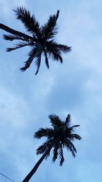 Low angle view of palm tree against sky