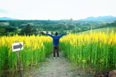 Rear view of person standing on field