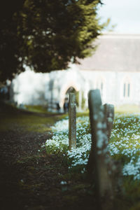 Close-up of stone in cemetery