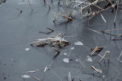 High angle view of abandoned ice on road