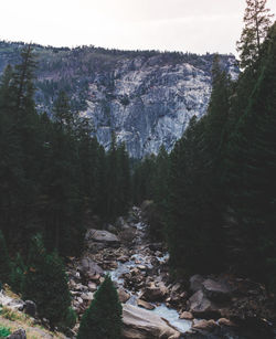 Scenic view of snow covered mountains