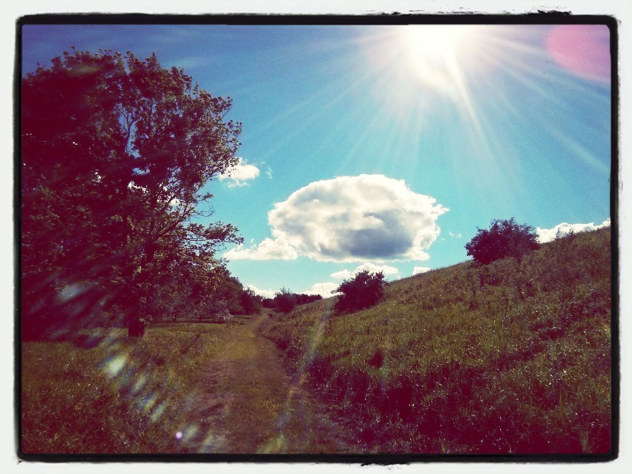 Shabbona Lake