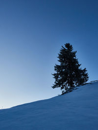 Tree against clear blue sky during winter