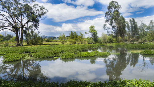 Scenic view of lake against cloudy sky