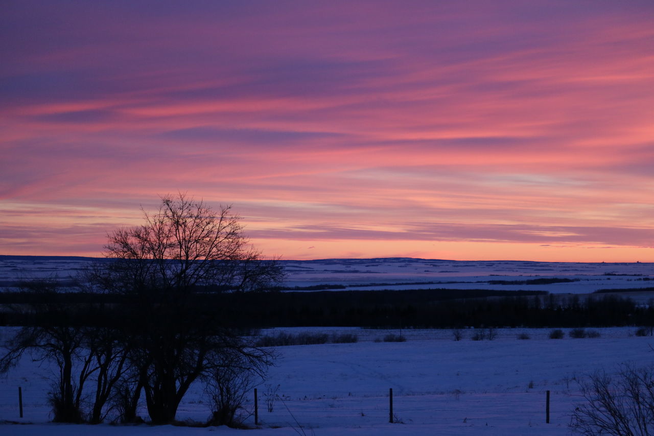 Beautiful morning colors