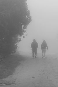 Rear view of men walking on snow covered land