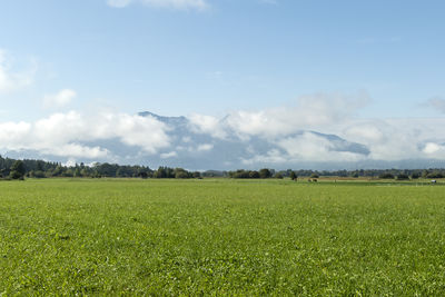horizon
