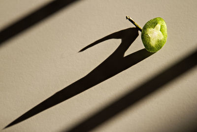 High angle view of fruit on leaf