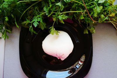 High angle view of dessert in plate