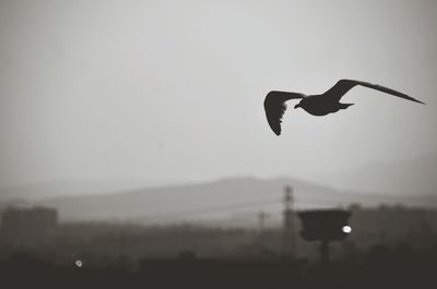 Blurred motion of woman in mid-air