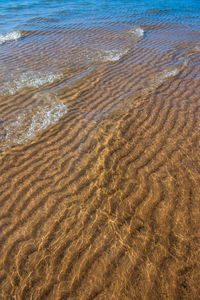 Scenic view of beach