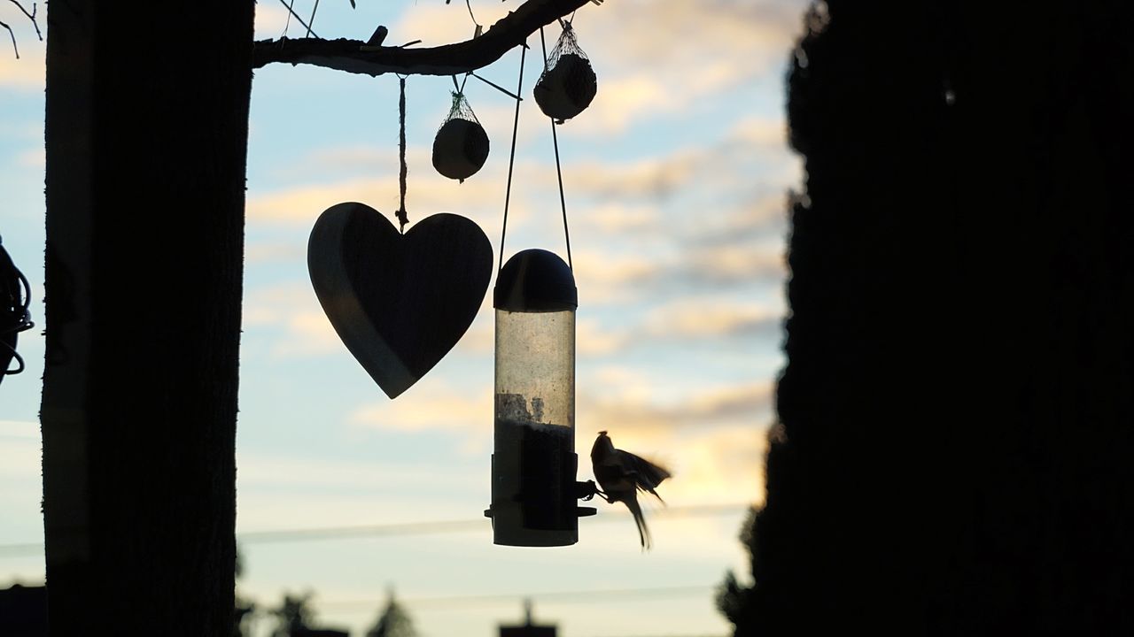 sky, hanging, silhouette, nature, lighting, no people, heart shape, light, love, black, outdoors, cloud, tree, positive emotion, emotion, sunset, focus on foreground, darkness, day