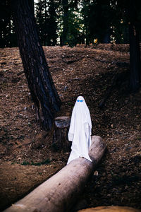 Person on tree trunk in forest