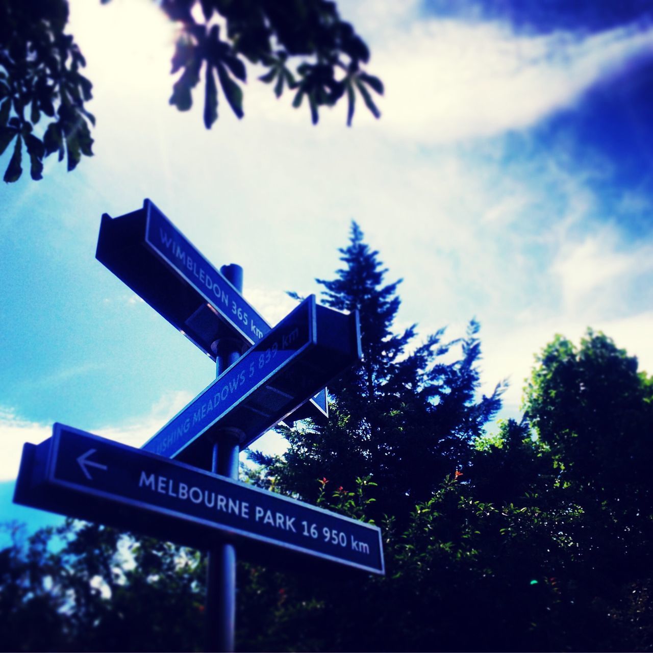 low angle view, tree, text, communication, sky, western script, guidance, information sign, arrow symbol, road sign, directional sign, sign, blue, day, information, no people, outdoors, capital letter, cloud, pole