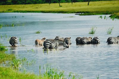 View of drinking water in lake