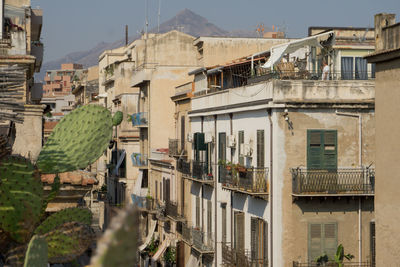 Buildings in city