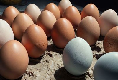 Close-up of eggs