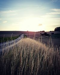 Scenic view of field against sky during sunset