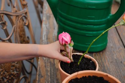 Cropped hand of girl planting flower in pot