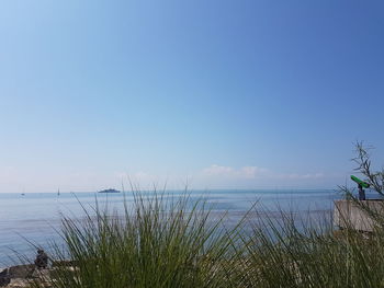 Scenic view of sea against clear blue sky