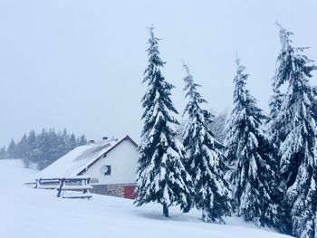 Remote house in the mountains surrounded by trees covered in snow